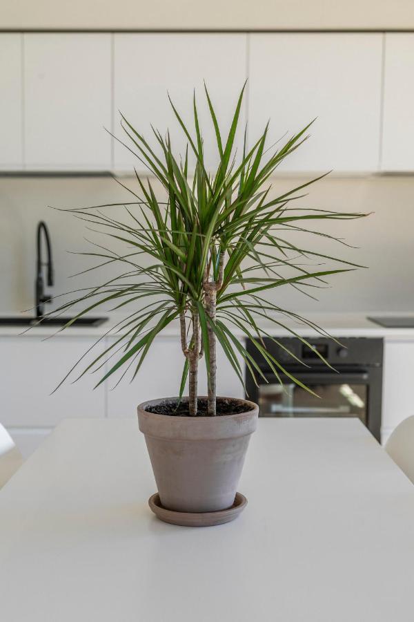 La Dolce Vita - Sunny Penthouse Trastevere Station 100Sqm Rome Bagian luar foto